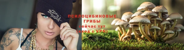 дурь Алзамай